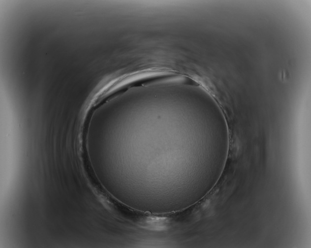 X0000086750055200704201733