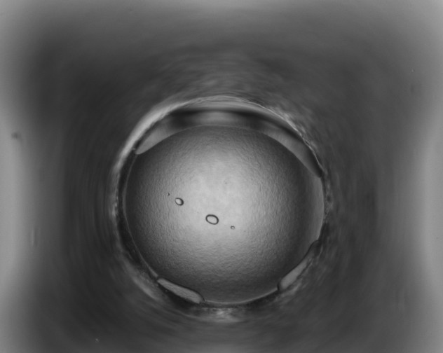 X0000086750056200704201733