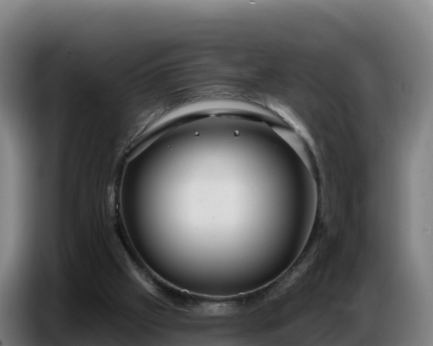 X0000086750057200704201733