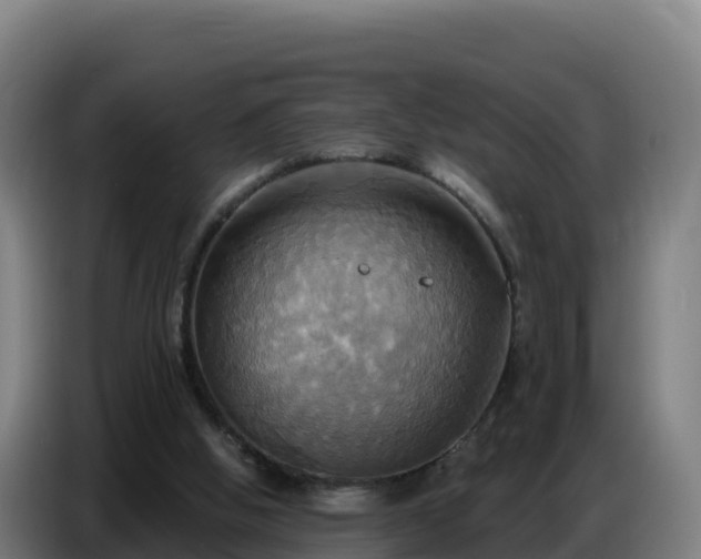 X0000086750058200704201733