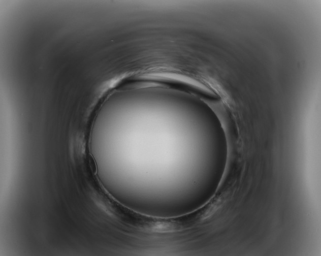 X0000086750060200704201733