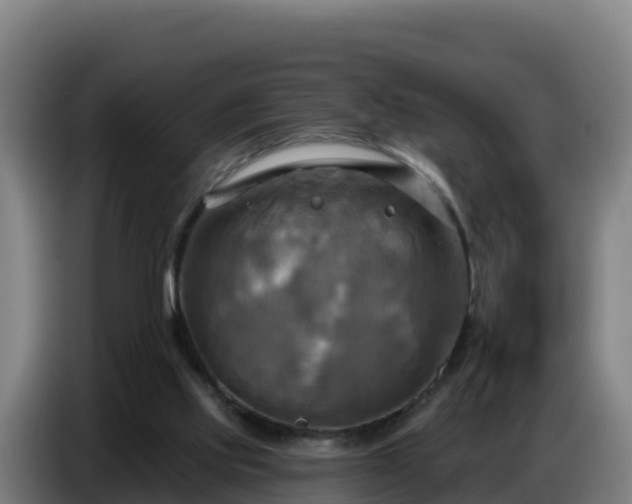 X0000086750061200704201733