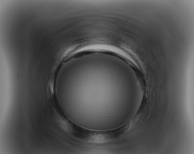 X0000086750062200704201733