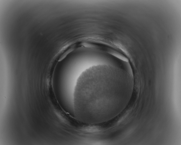 X0000086750063200704201733