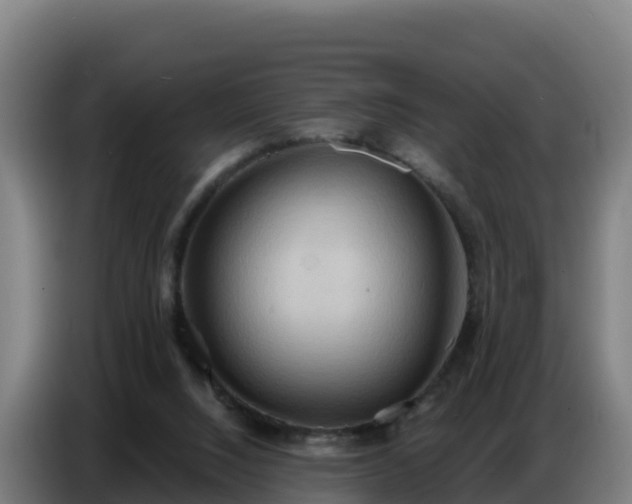 X0000086750064200704201733