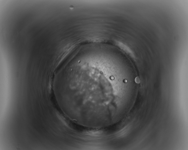 X0000086750065200704201733