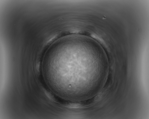 X0000086750066200704201733