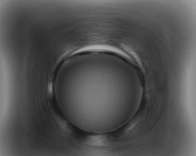 X0000086750067200704201733