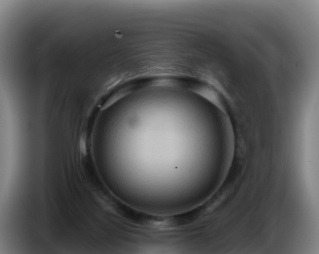 X0000086750068200704201733