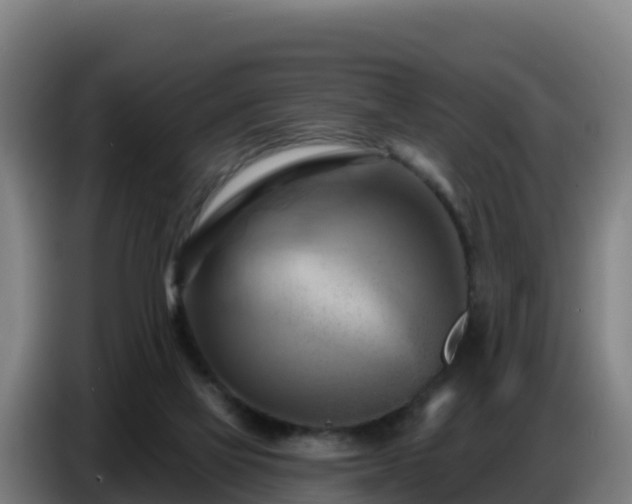 X0000086750069200704201733