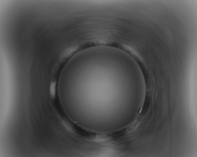 X0000086750070200704201733