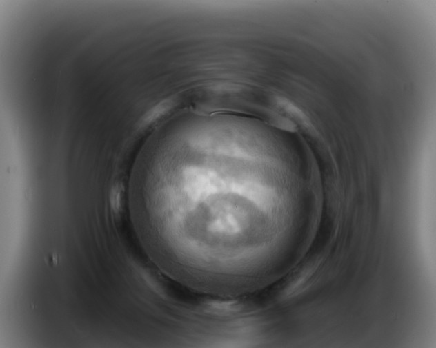 X0000086750071200704201733