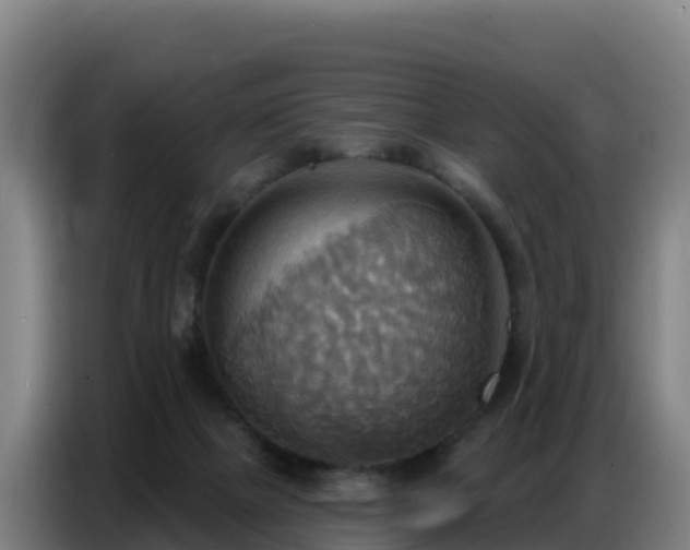 X0000086750073200704201733