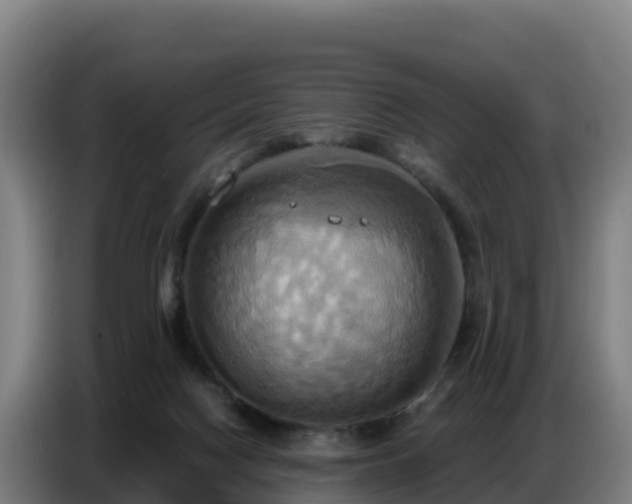 X0000086750074200704201733