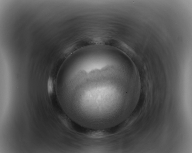 X0000086750075200704201733