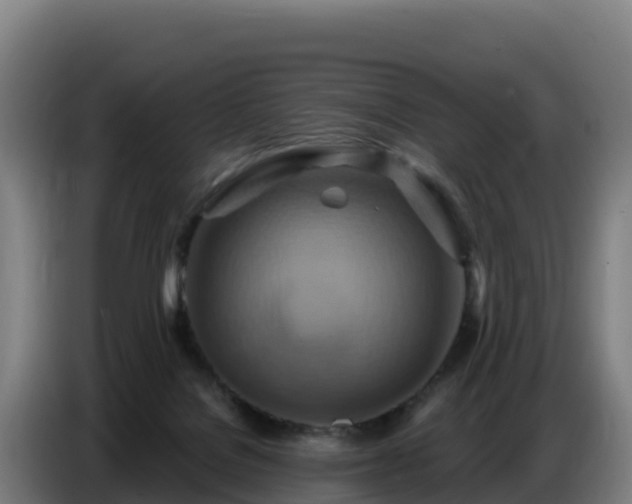 X0000086750076200704201733