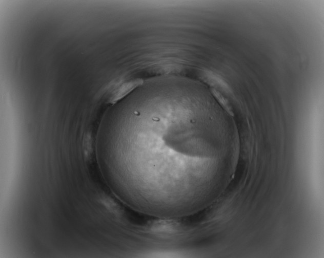 X0000086750077200704201733