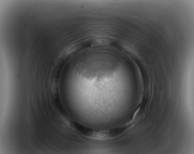 X0000086750078200704201733