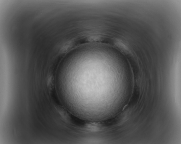 X0000086750079200704201733