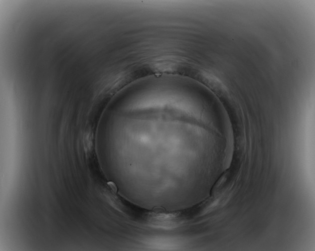 X0000086750081200704201733