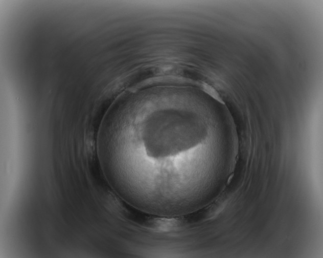 X0000086750085200704201733