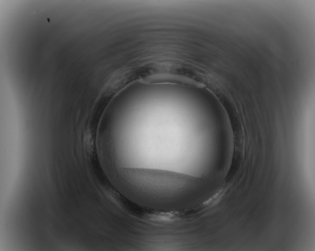 X0000086750086200704201733