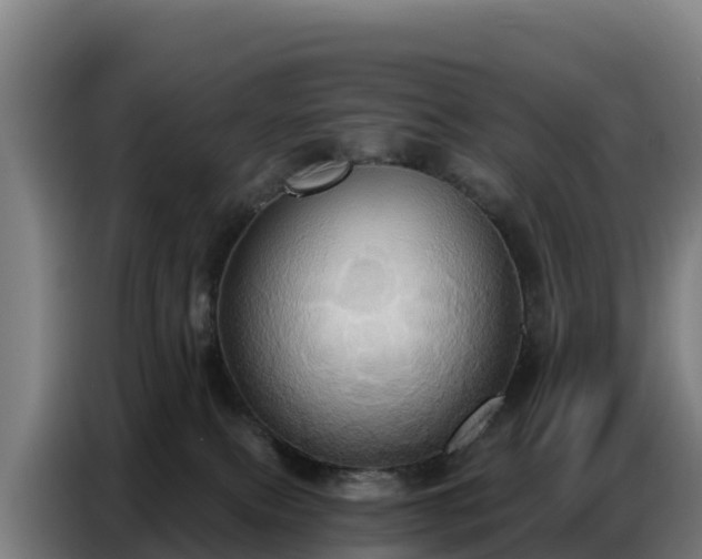 X0000086750087200704201733