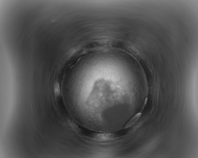 X0000086750089200704201733