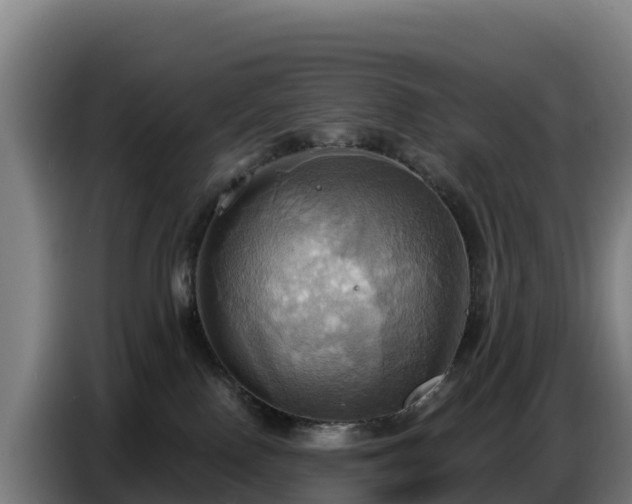 X0000086750090200704201733