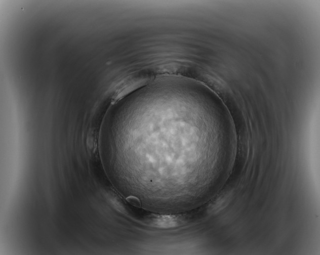 X0000086750091200704201733