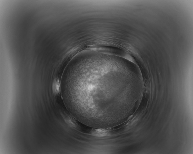 X0000086750095200704201733