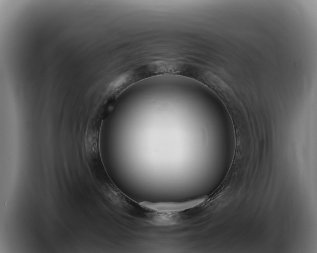 X0000086750096200704201734