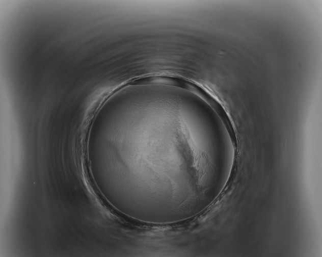 X0000086750097200704201733