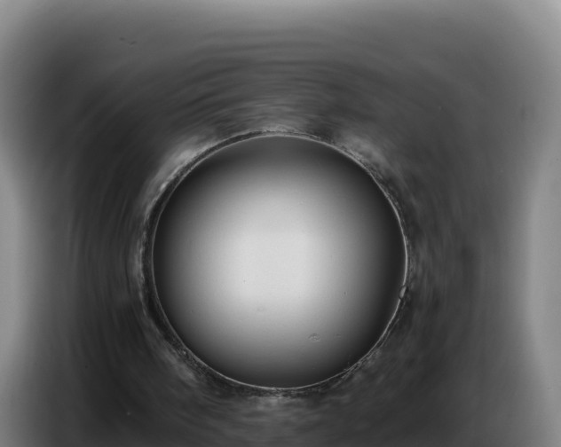 X0000086750098200704201733