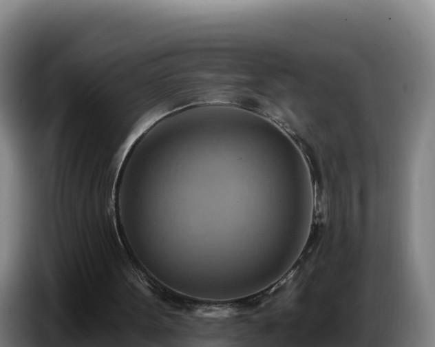 X0000086750099200704201733