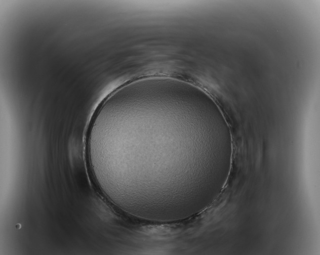 X0000086750100200704201733