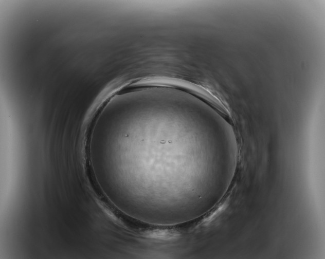 X0000086750101200704201733