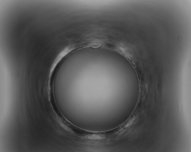 X0000086750102200704201733