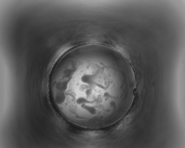 X0000086750103200704201733