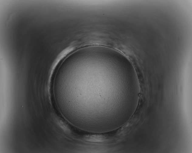 X0000086750104200704201733