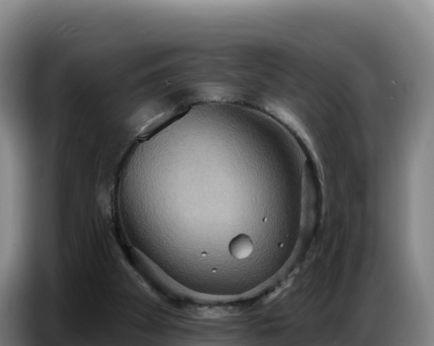 X0000086750105200704201733