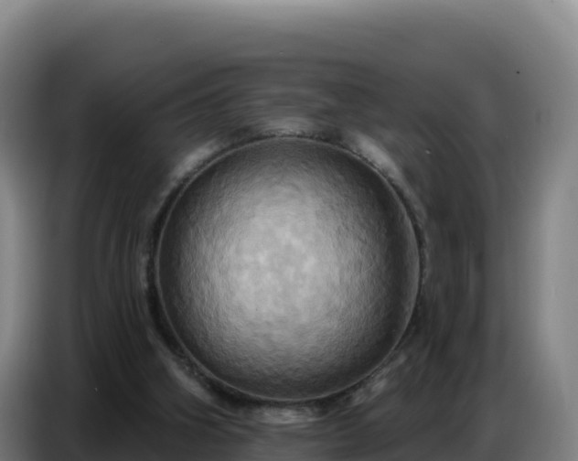 X0000086750106200704201733