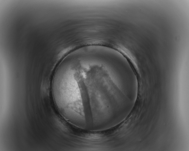 X0000086750107200704201733