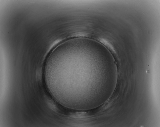 X0000086750108200704201733