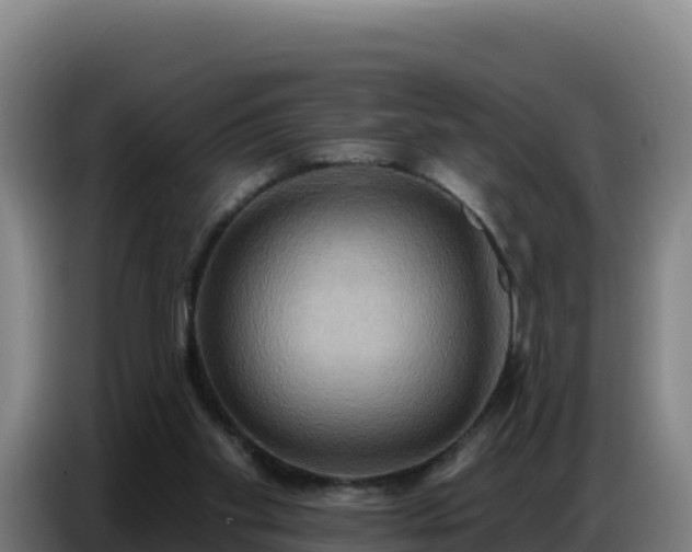 X0000086750109200704201733