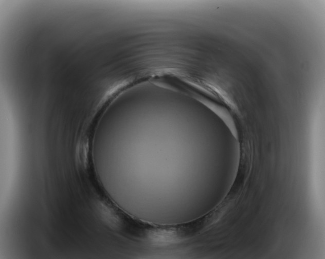 X0000086750110200704201733