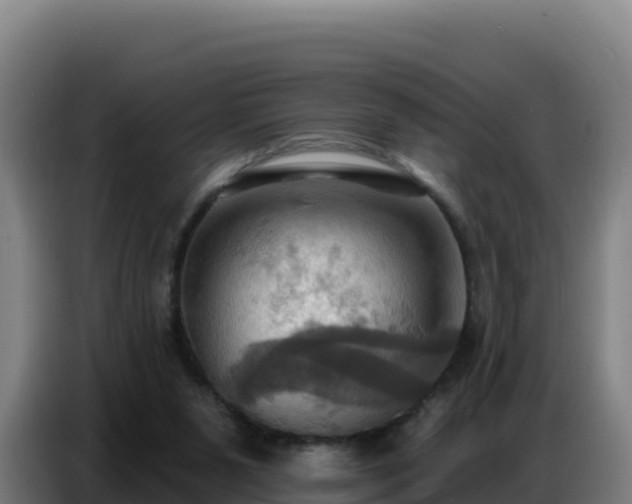 X0000086750111200704201733