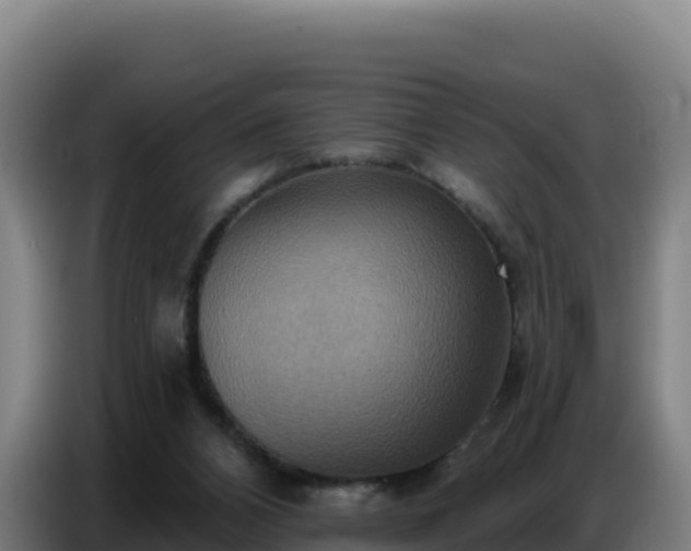 X0000086750112200704201733