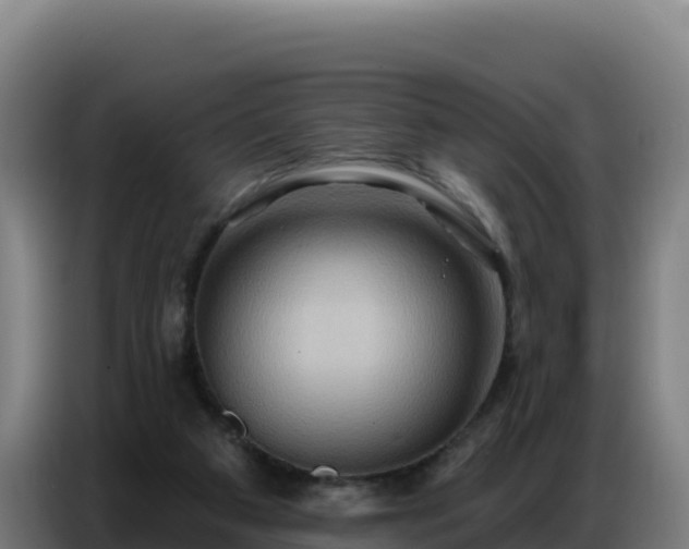 X0000086750113200704201733