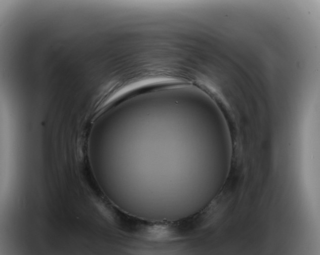 X0000086750114200704201733